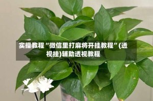 实操教程“微信里打麻将开挂教程”(透视挂)辅助透视教程