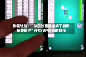 教程辅助！“微乐陕西捉老麻子辅助免费插件”开挂(透视)辅助教程