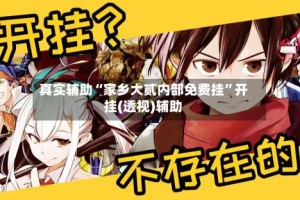 真实辅助“家乡大贰内部免费挂”开挂(透视)辅助