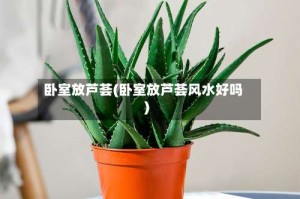 卧室放芦荟(卧室放芦荟风水好吗)