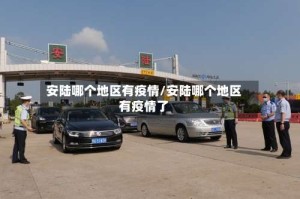 安陆哪个地区有疫情/安陆哪个地区有疫情了