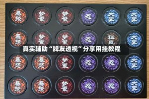 真实辅助“牌友透视”分享用挂教程