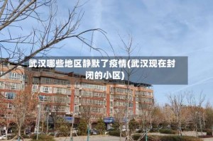 武汉哪些地区静默了疫情(武汉现在封闭的小区)