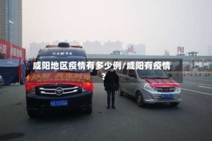 咸阳地区疫情有多少例/咸阳有疫情?