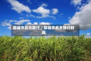 聊城市后天限行／聊城市后天限行时间