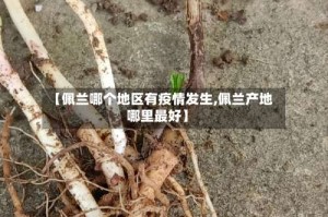 【佩兰哪个地区有疫情发生,佩兰产地哪里最好】