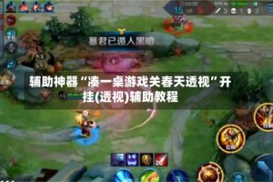 辅助神器“凑一桌游戏关春天透视”开挂(透视)辅助教程