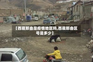 【西藏那曲是疫情地区吗,西藏那曲区号是多少】