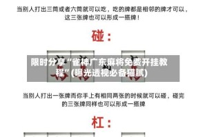 限时分享“雀神广东麻将免费开挂教程”(曝光透视必备猫腻)