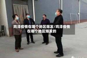 鸡泽疫情在哪个地区爆发/鸡泽疫情在哪个地区爆发的