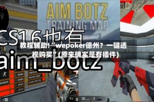 教程辅助!“wepoker德州？一键透视购买”(原来确实是有插件)