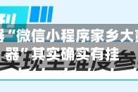 辅助神器“微信小程序家乡大贰开挂器”其实确实有挂
