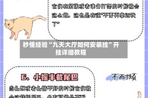 秒懂经验“九天大厅如何安装挂”开挂详细教程