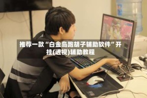 推荐一款“白金岛跑胡子辅助软件”开挂(透视)辅助教程