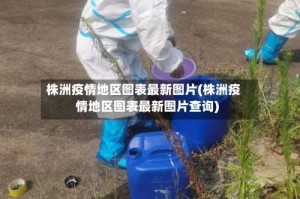 株洲疫情地区图表最新图片(株洲疫情地区图表最新图片查询)