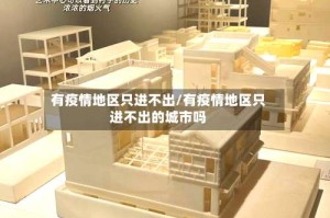 有疫情地区只进不出/有疫情地区只进不出的城市吗