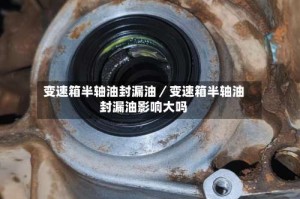 变速箱半轴油封漏油／变速箱半轴油封漏油影响大吗