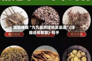 辅助神器“九九麻将挂购买渠道”(详细透视教程)-知乎