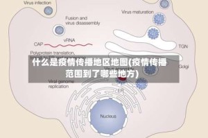 什么是疫情传播地区地图(疫情传播范围到了哪些地方)