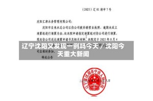 辽宁沈阳又发现一例吗今天／沈阳今天重大新闻