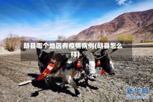 朗县哪个地区有疫情病例(朗县怎么样)