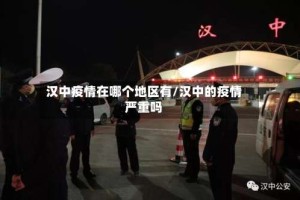 汉中疫情在哪个地区有/汉中的疫情严重吗