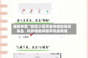 辅助神器“微信小程序雀神辅助器安装包”科技辅助神器手机版教程