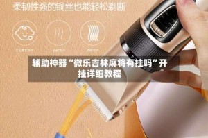 辅助神器“微乐吉林麻将有挂吗”开挂详细教程