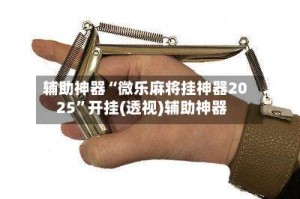 辅助神器“微乐麻将挂神器2025”开挂(透视)辅助神器