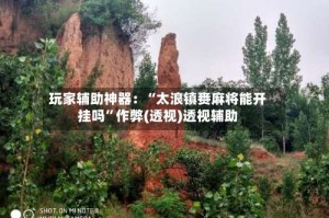 玩家辅助神器：“太浪镇赉麻将能开挂吗”作弊(透视)透视辅助