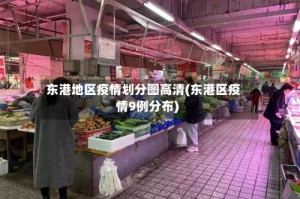 东港地区疫情划分图高清(东港区疫情9例分布)