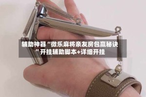 辅助神器“微乐麻将亲友房包赢秘诀”开挂辅助脚本+详细开挂