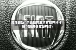 教程辅助“闲来陕西麻将万能开挂神器”(原来确实是有挂)