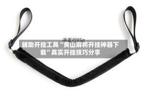 辅助开挂工具“黄山麻将开挂神器下载”真实开挂技巧分享