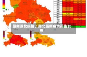 最新湖北疫情／湖北最新疫情报告发布