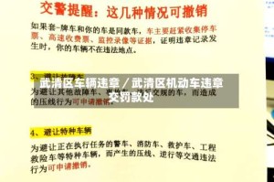武清区车辆违章／武清区机动车违章交罚款处