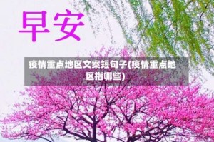 疫情重点地区文案短句子(疫情重点地区指哪些)