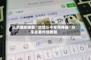 玩家辅助神器“微信斗牛专用神器”分享必要外挂教程