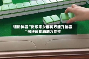 辅助神器“微乐家乡麻将万能开挂器”揭秘透视辅助万能挂