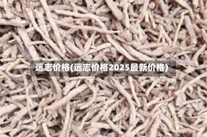 远志价格(远志价格2025最新价格)