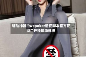 辅助神器“wepoker透视脚本官方正版”开挂辅助详细