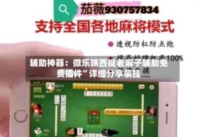 辅助神器：微乐陕西捉老麻子辅助免费插件”详细分享装挂