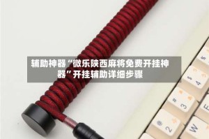 辅助神器“微乐陕西麻将免费开挂神器”开挂辅助详细步骤