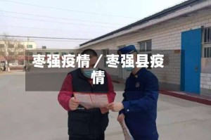 枣强疫情／枣强县疫情
