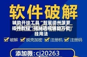 辅助开挂工具“智星德州菠萝插件教程”揭秘透视辅助万能挂用法