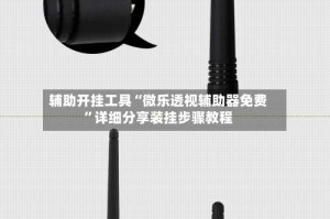 辅助开挂工具“微乐透视辅助器免费”详细分享装挂步骤教程