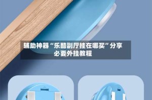 辅助神器“乐酷副厅挂在哪买”分享必要外挂教程