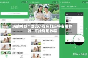 辅助神器“微信小程序打麻将专用神器”开挂详细教程