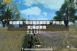 帮你解答“旺旺娱乐辅助器”开挂(透视)辅助教程