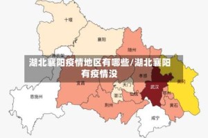 湖北襄阳疫情地区有哪些/湖北襄阳有疫情没